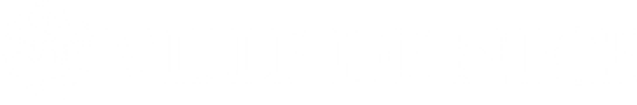 Logo vdn